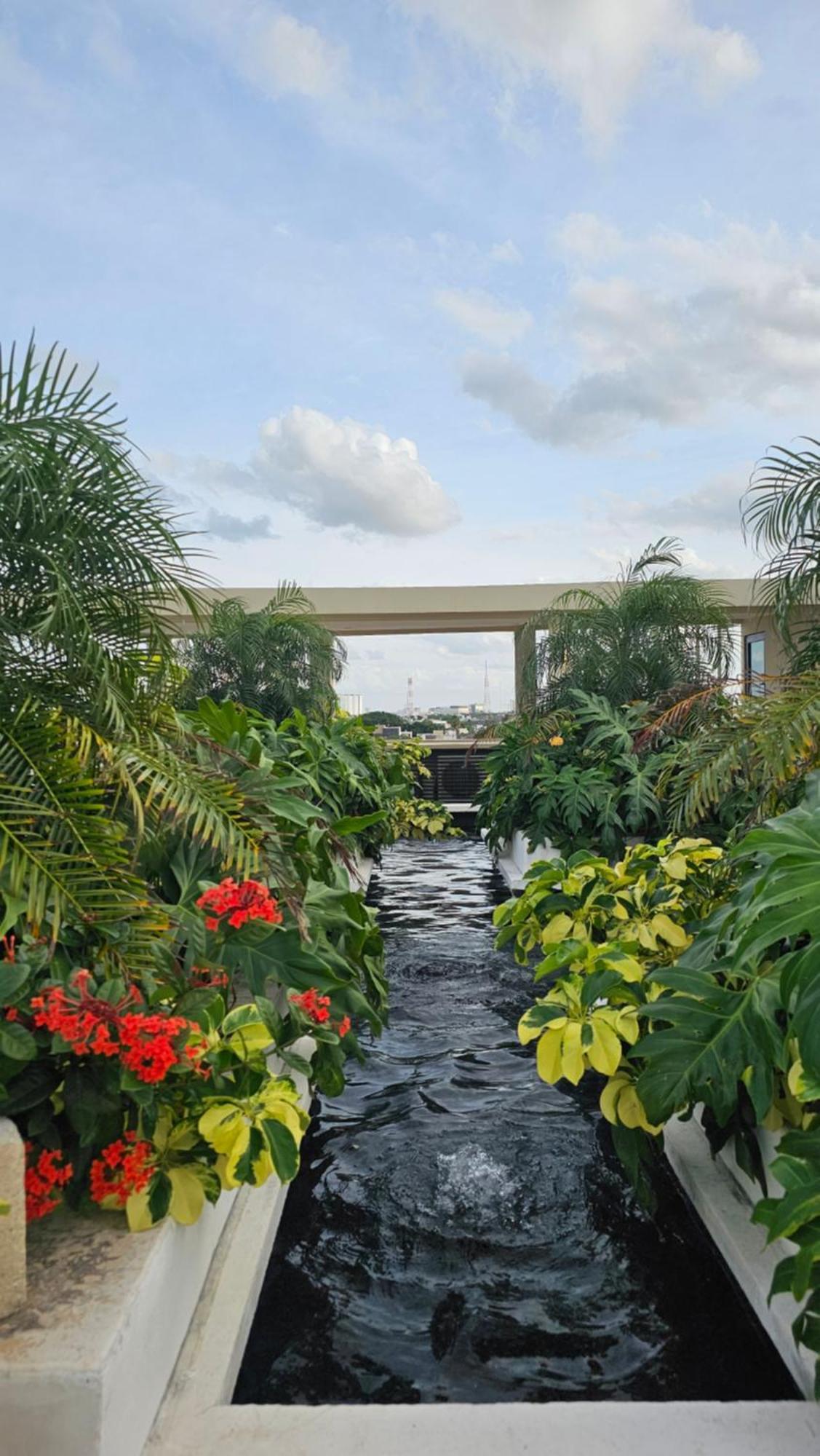 Xoza Hotel Urban Escape Cancún Exterior foto